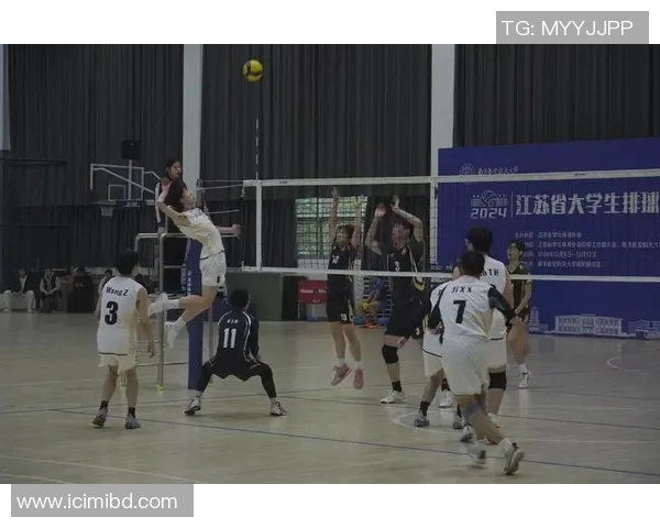 北京排球队个人能力引发热议球员表现与团队协作的辩论