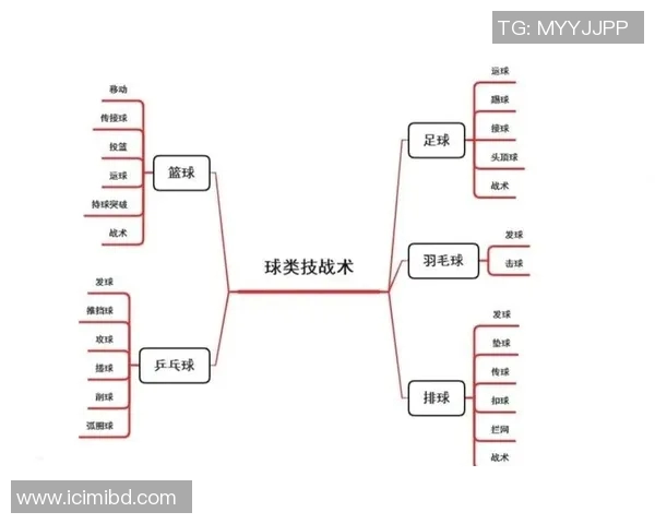 上海排球队的战术转型与深度解析探索排球运动的未来发展之路