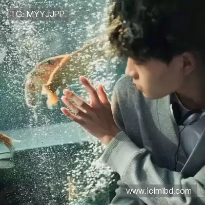 裘渊高